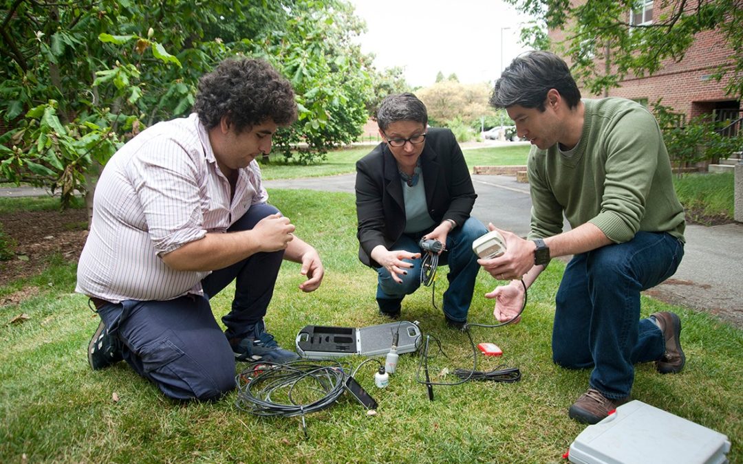Ecoinformatics