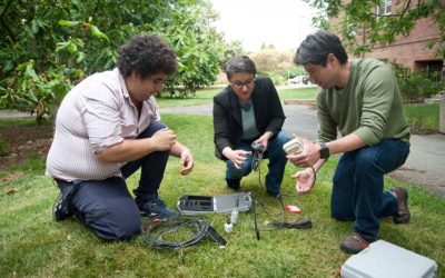 Ecoinformatics