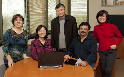 Bioinformatics