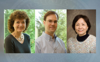 Highly cited