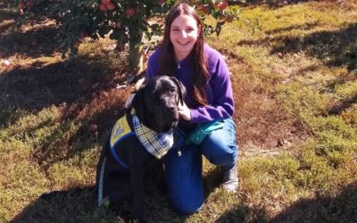 Inclusive Programs Show Resilience
