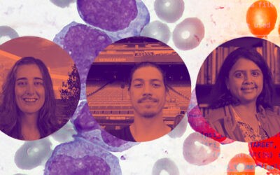 Homing in on the right treatment for a rare disease