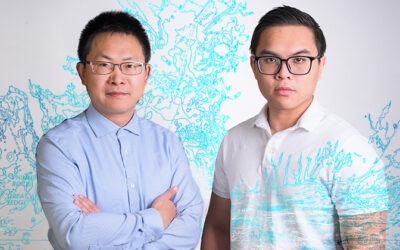 Explainable AI